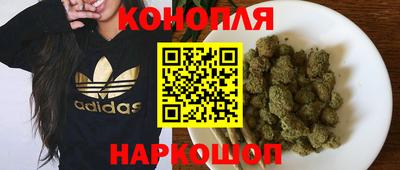 прущие грибы Новодвинск